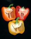 Jack-O'Peppers
